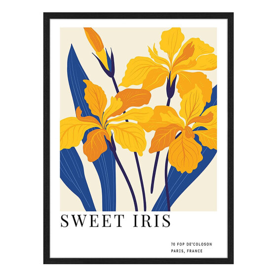 Bild Sweet Iris