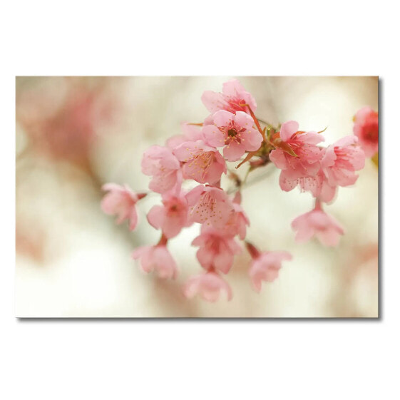 Картина twentyfour Цветущие вишни