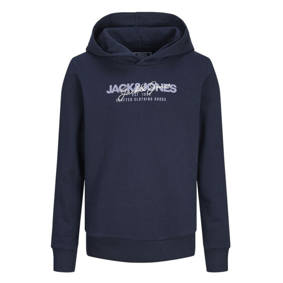 JACK & JONES Alvis hoodie