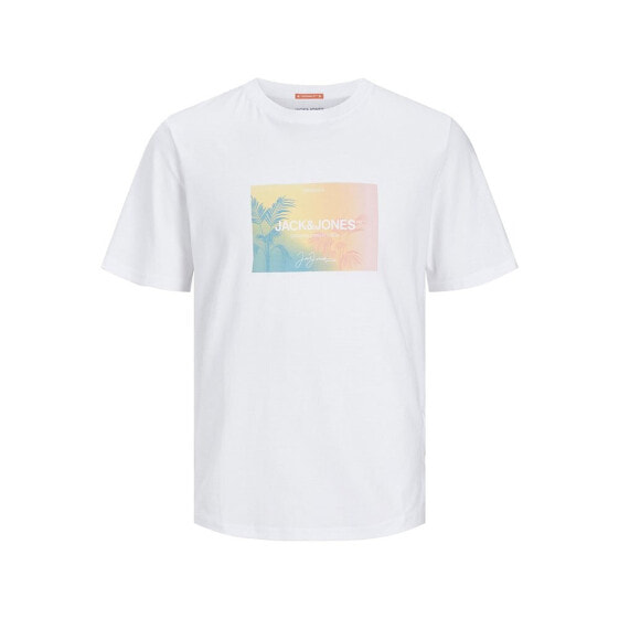 JACK & JONES Aruba Sunset Branding Plus Size short sleeve T-shirt