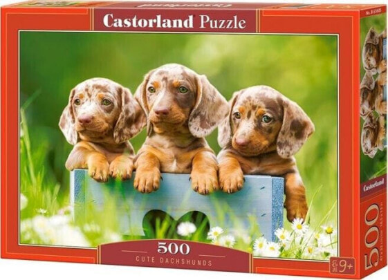 Castorland Puzzle 500 Cute Dachshunds CASTOR