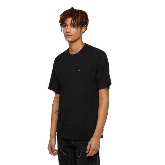 DICKIES Clancy Heavyweight short sleeve T-shirt