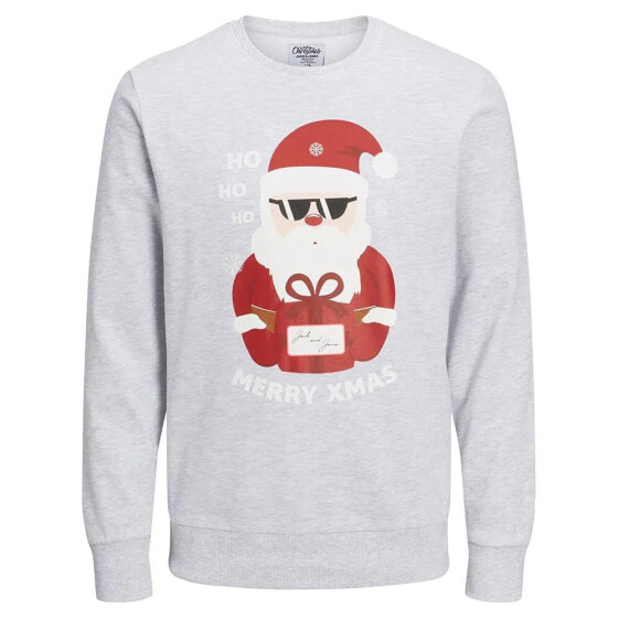 JACK & JONES Jortoon sweatshirt