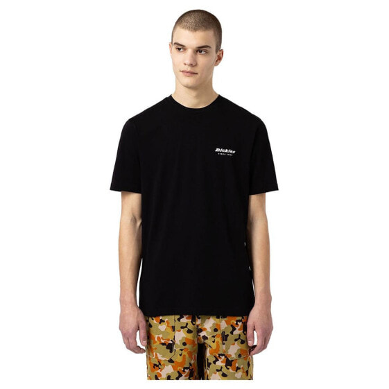 DICKIES Artondale Box short sleeve T-shirt