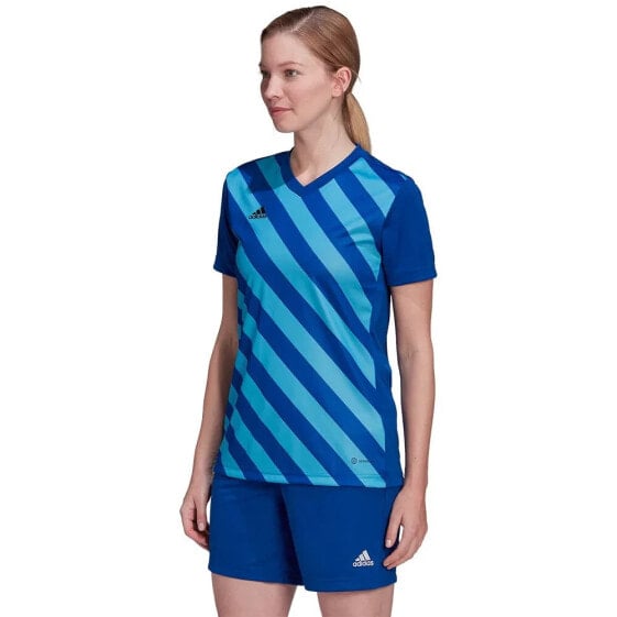 ADIDAS Entrada 22 GFX short sleeve T-shirt