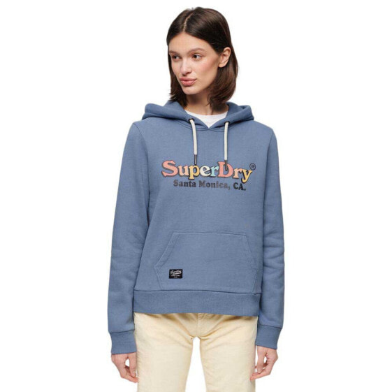 SUPERDRY Rainbow Logo Graphic hoodie