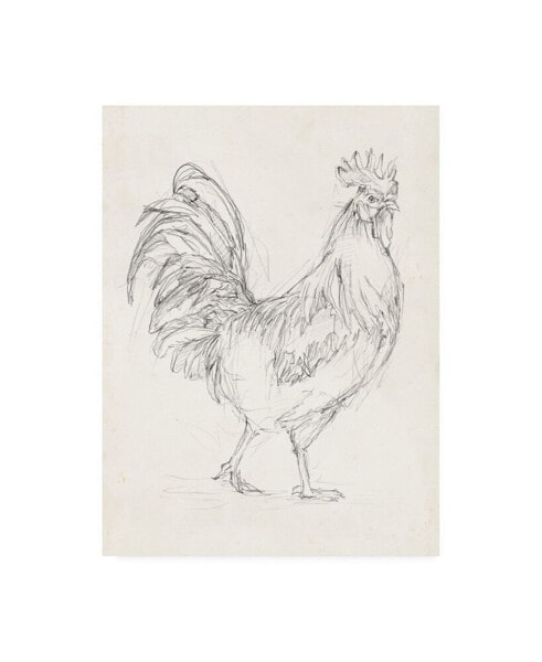 Ethan Harper Rooster Sketch I Canvas Art - 20" x 25"