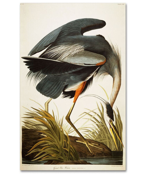 John James Audubon 'Great Blue Heron' Canvas Art - 47" x 30"