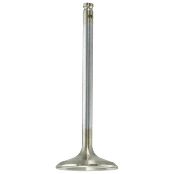 KIBBLEWHITE 80-80215H Intake Valve