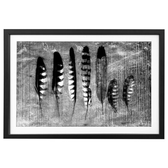 Bild Monochrome Feathers