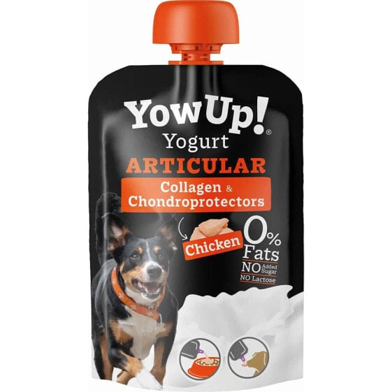 YOWUP 115g yoghurt for articular 10 units