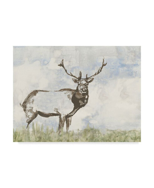 Jennifer Goldberger Wild Call II Canvas Art - 15" x 20"