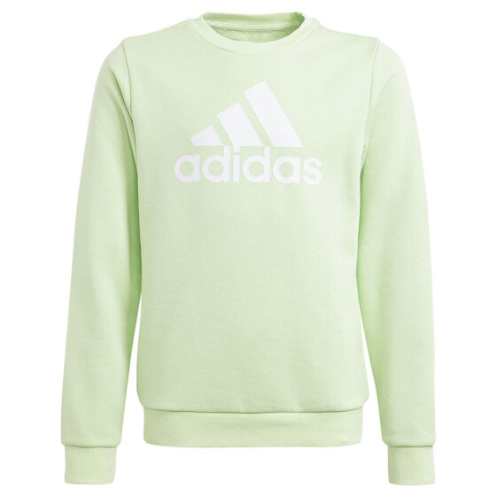 ADIDAS Essentials Big Logo sweatshirt