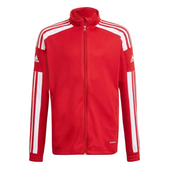 Adidas Squadra 21 Training Youth Jr GP6458 sweatshirt