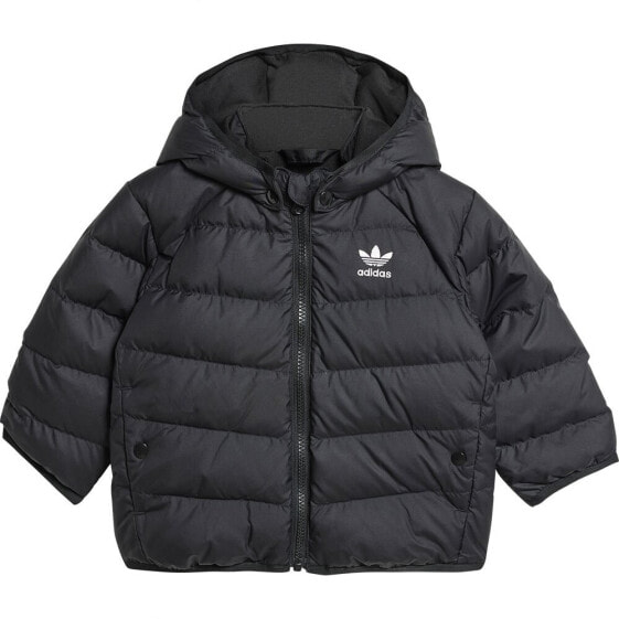 ADIDAS ORIGINALS Adicolor Down jacket