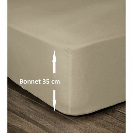 Fitted sheet Lovely Home Beige 160 x 200 cm