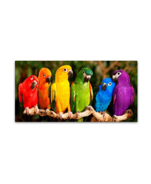 Mike Jones Photo 'Rainbow Parrots' Canvas Art - 10" x 19" x 2"