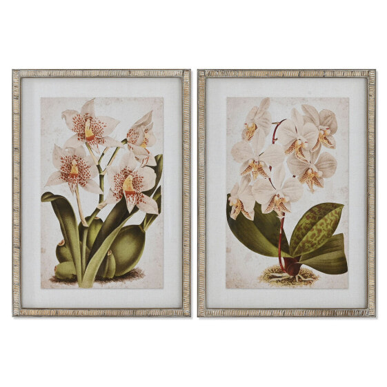 Картина Тропическая Орхидея Home ESPRIT 50 x 2,5 x 70 см (2 штуки)