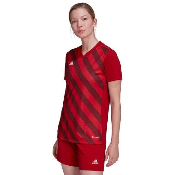 ADIDAS Entrada 22 GFX short sleeve T-shirt