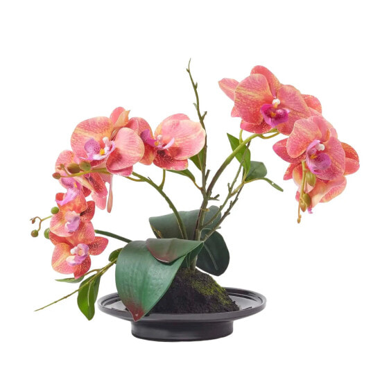 Искусственные цветы Homescapes Künstliche pfirsichfarbene Phalaenopsis