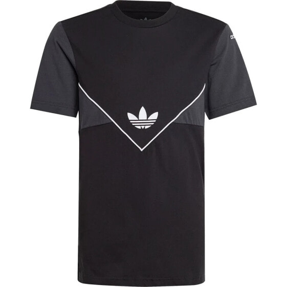 ADIDAS ORIGINALS Adicolor short sleeve T-shirt