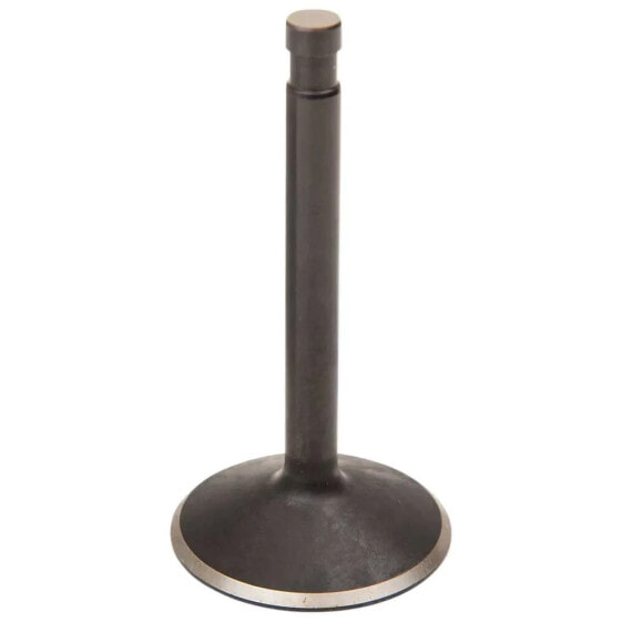 KIBBLEWHITE 20-4256 Intake Valve