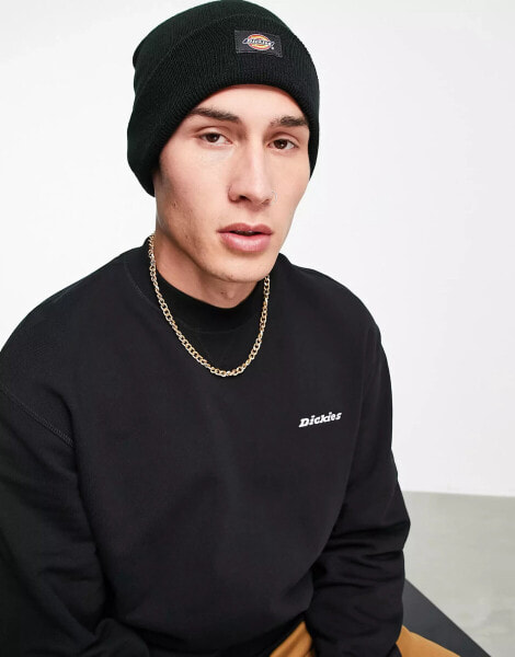 Dickies gibsland beanie in black