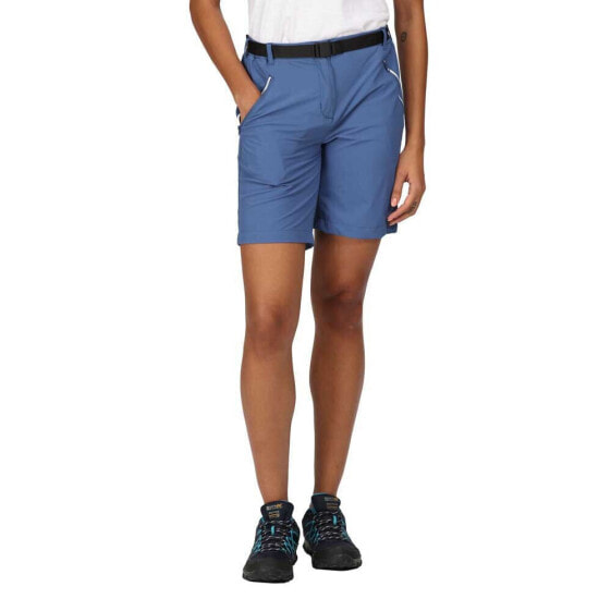 REGATTA Xert Stretch III Shorts Pants