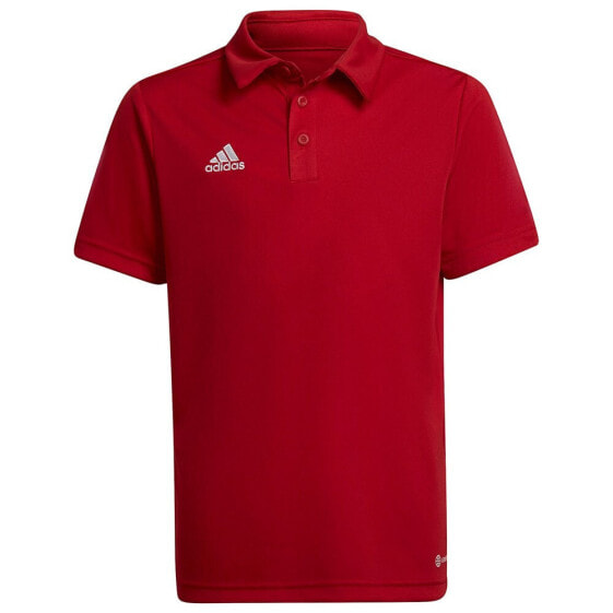 ADIDAS Entrada 22 short sleeve polo