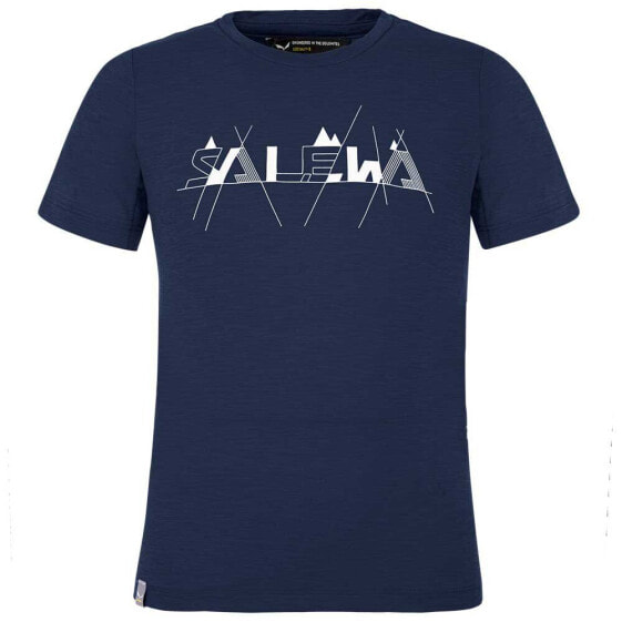 SALEWA Graphic Dry short sleeve T-shirt