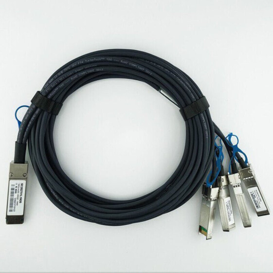 BlueOptics QSFP-4SFP25G-CU3M-BL - 3 m - QSFP28 - 4xQSFP28 - Male/Male - Black - 100000 Gbit/s