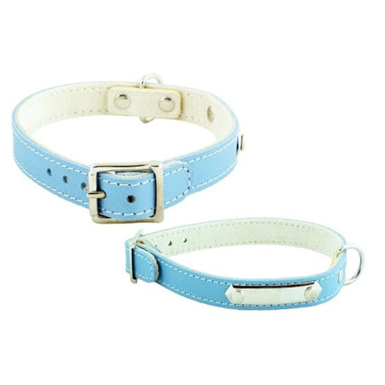 YOUPET Little Chapa 50x2.2 cm Dog Collar