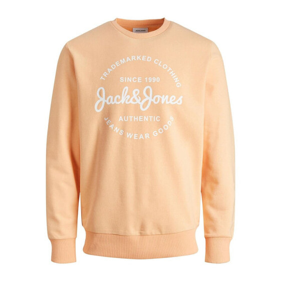 JACK & JONES Forest Sweater