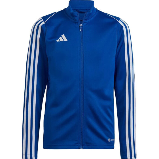 ADIDAS Tiro23LTr Jacket