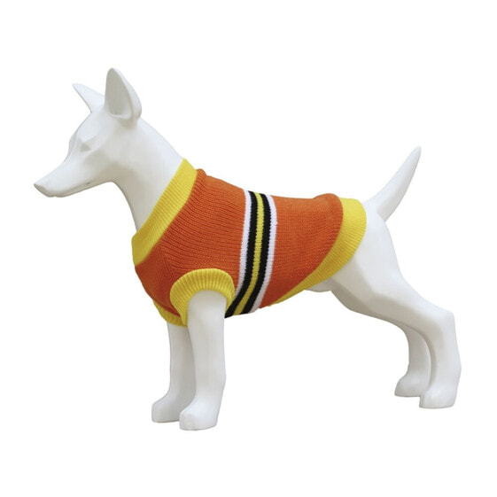 FREEDOG Sweater