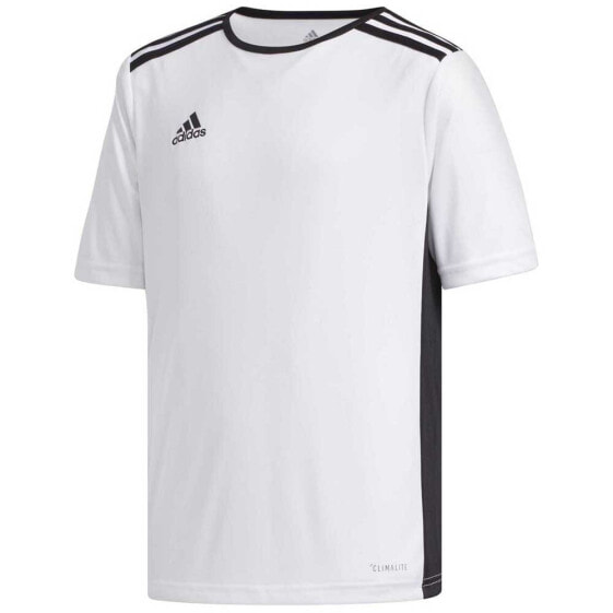 ADIDAS Entrada 18 short sleeve T-shirt