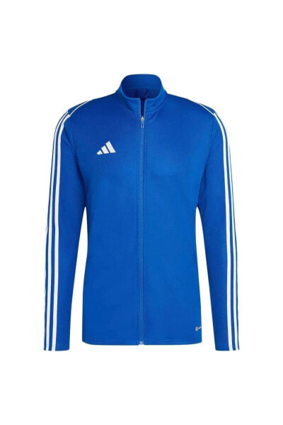 Куртка мужская синяя Adidas Tıro23 L Tr Jkt