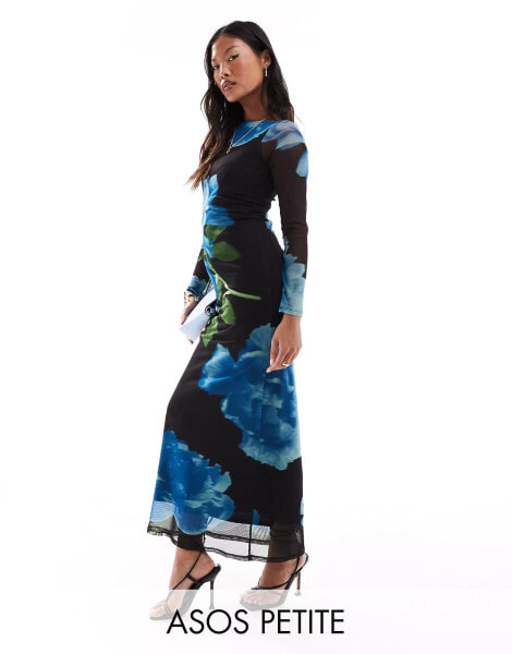 ASOS DESIGN Petite floral mesh maxi dress with angel sleeves in blue floral print