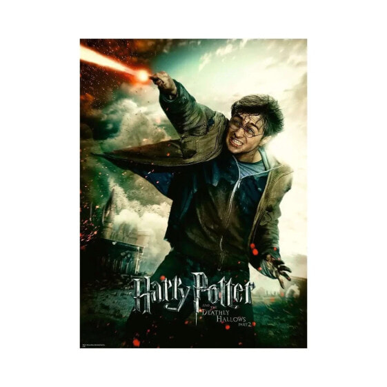 Puzzle Harry Potter 100 Teile XXL