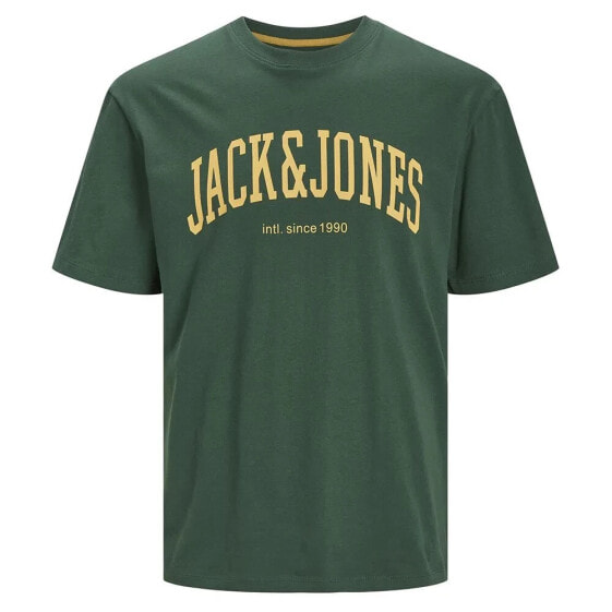 JACK & JONES Josh short sleeve T-shirt