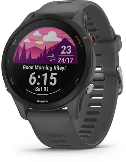 Forerunner 255 Slate Gray 010-02641-10