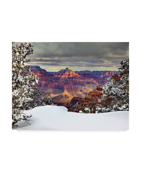 David Drost Snowy Grand Canyon I Canvas Art - 37" x 49"