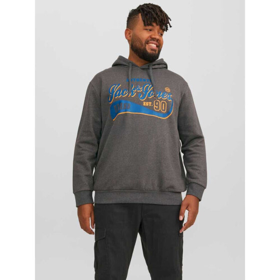 JACK & JONES Logo 2 Col Plus Hoodie