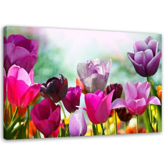 Leinwandbilder Tulpen Lila Blumen Natur