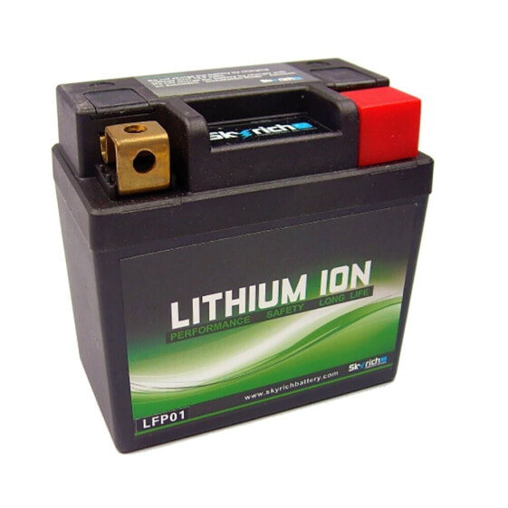 SKYRICH LFP01 Lithium Battery