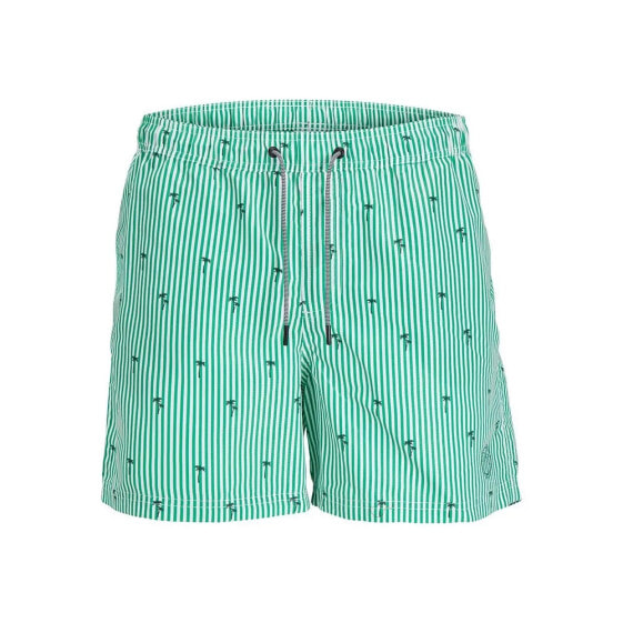 JACK & JONES Fiji Small Stripes Swimming Shorts