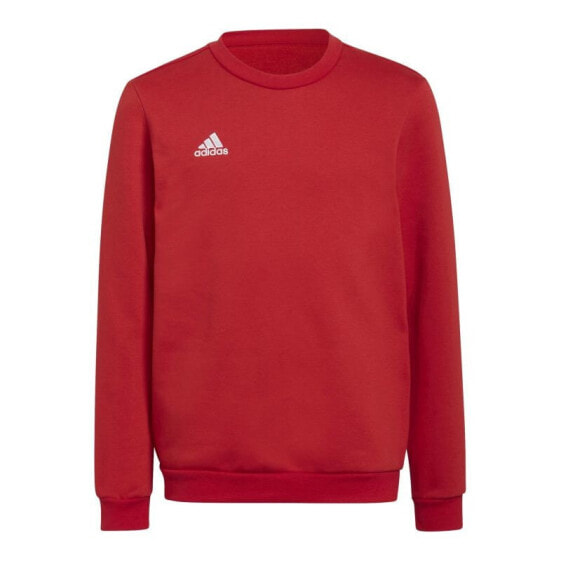 Sweatshirt adidas Entrada 22 Sweat Jr H57473