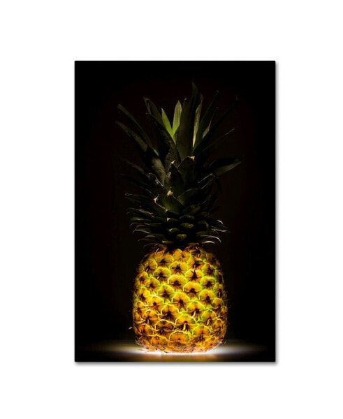 Wieteke De Kogel 'Pineapple' Canvas Art - 24" x 16" x 2"