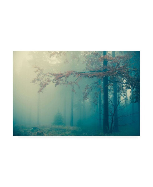 PhotoINC Studio Woods Canvas Art - 27" x 33.5"