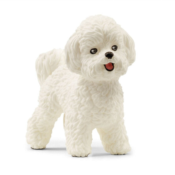 Игровая фигурка Schleich FW Bichon Frize 13963 Wild Life (Дикая природа)